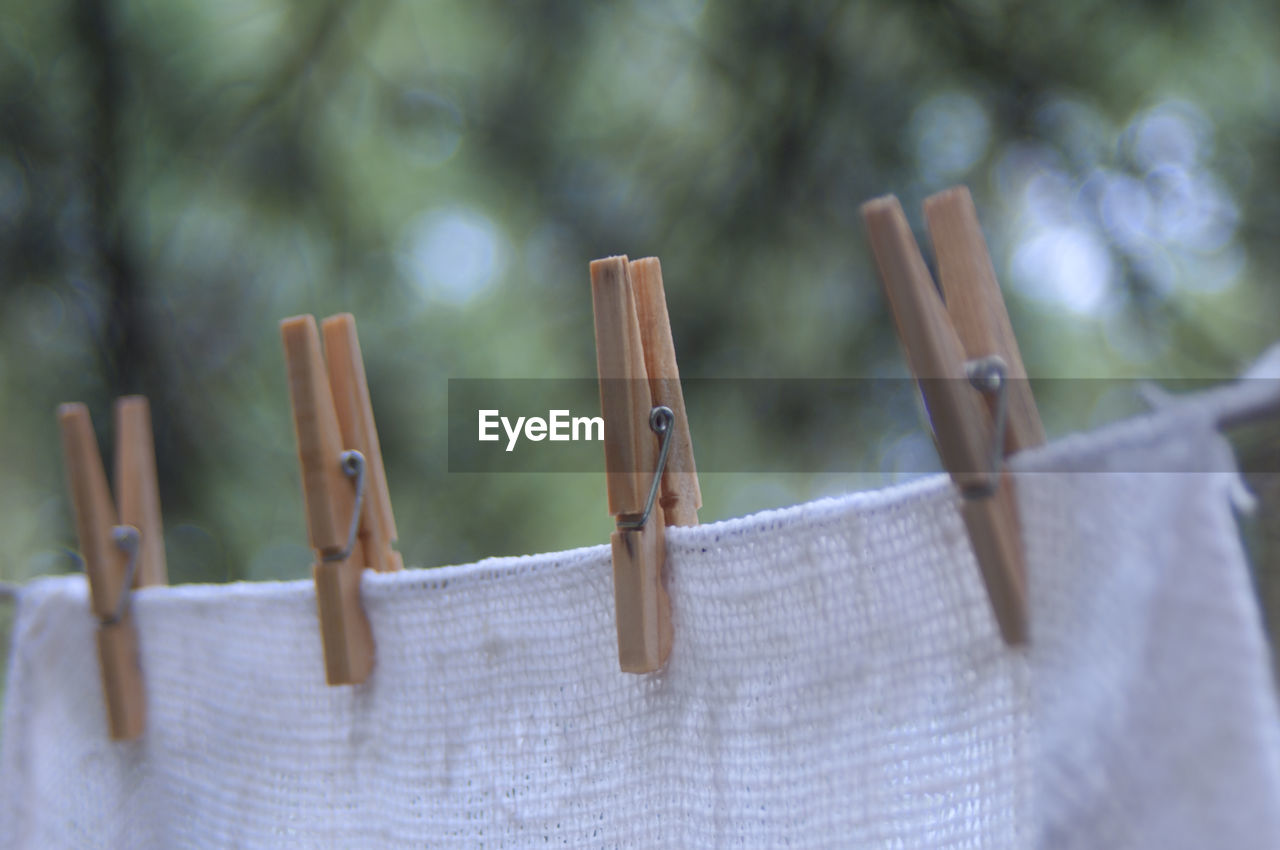 Close-up of laundry drying on clothesline