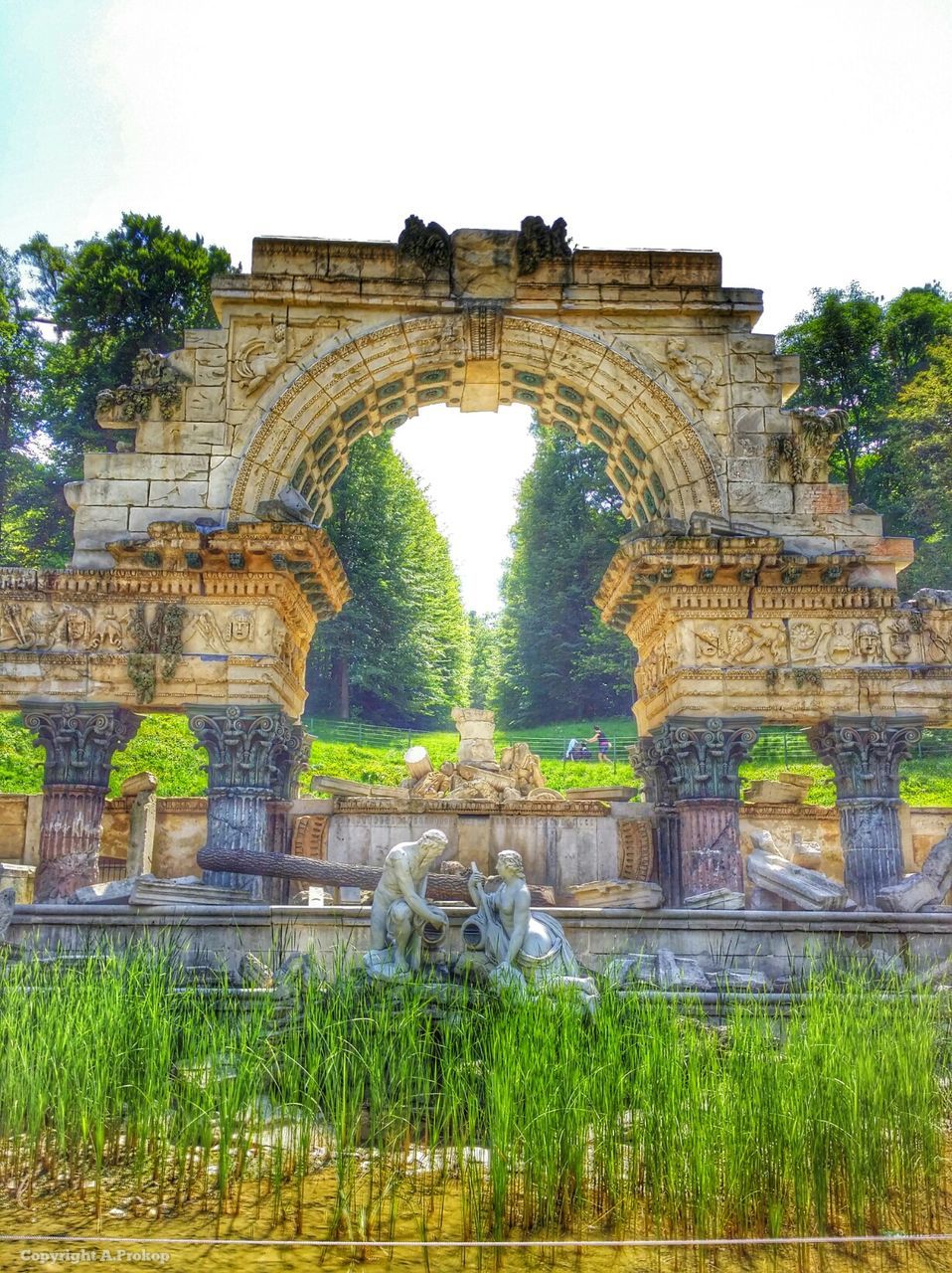 ARCH BRIDGE WITH TREES IN BACKGROUND