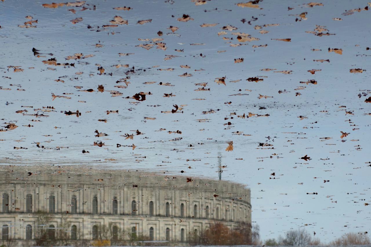 Reflection of building on lake with fallen autumn leaves on it