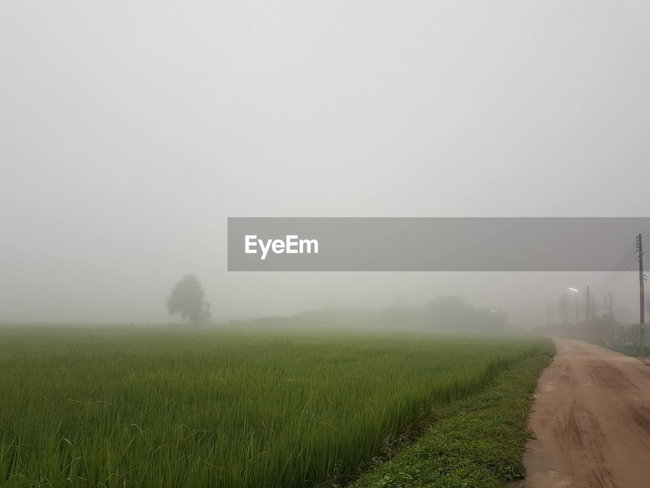 SCENIC VIEW OF FARM AGAINST SKY