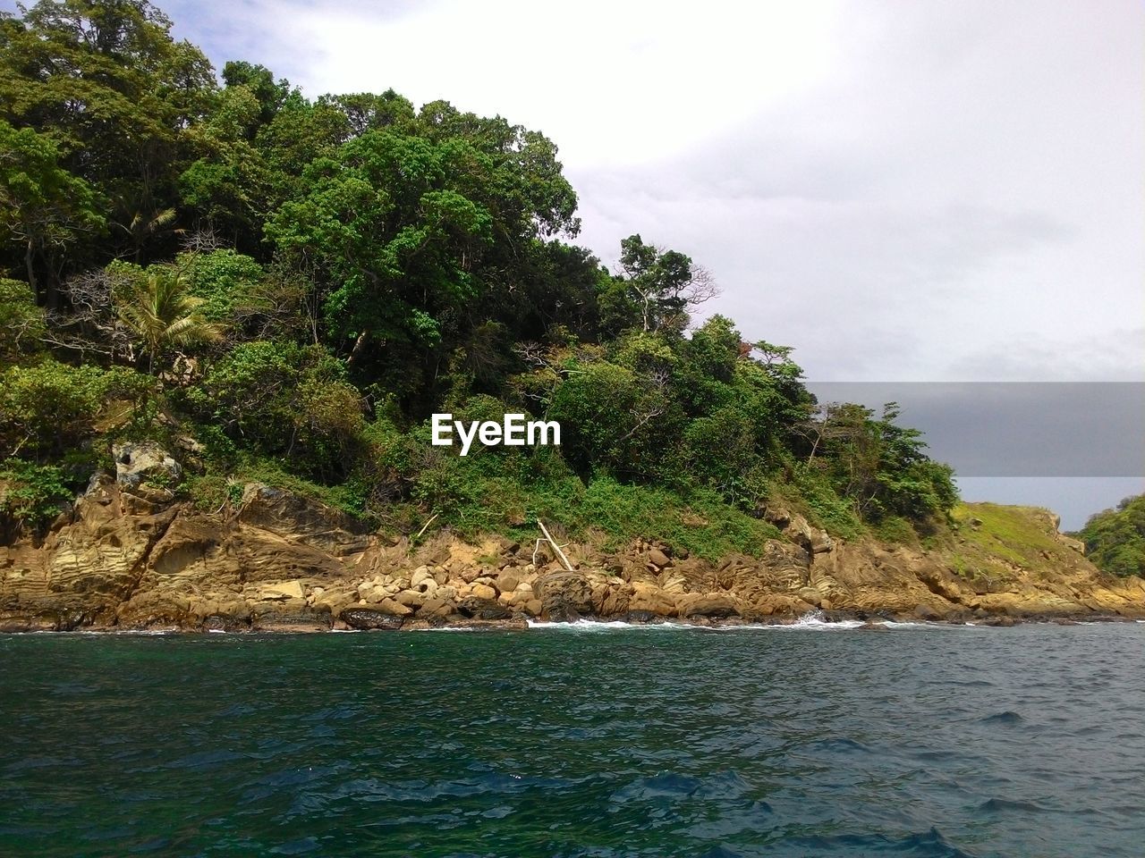 SCENIC VIEW OF SEA AGAINST TREES
