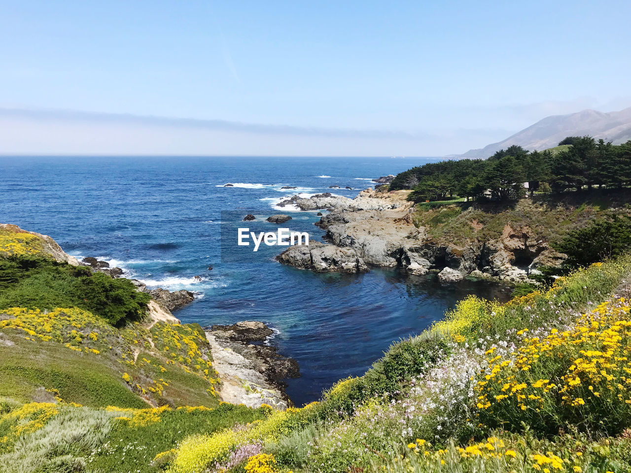 California coastline with wildflowers, big sur, near carmel