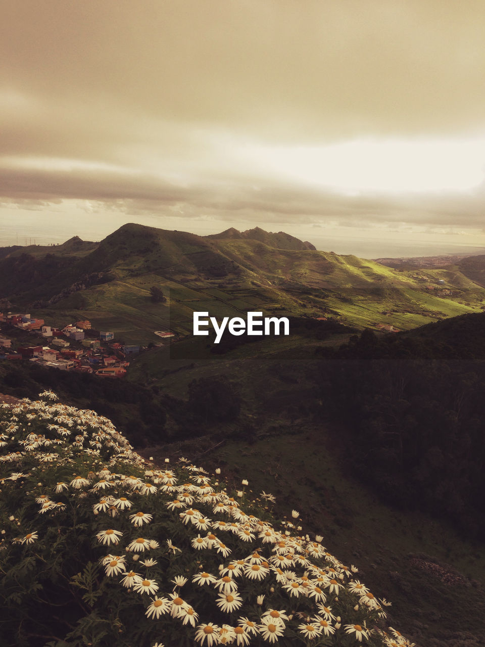 Scenic view of landscape against cloudy sky during sunset