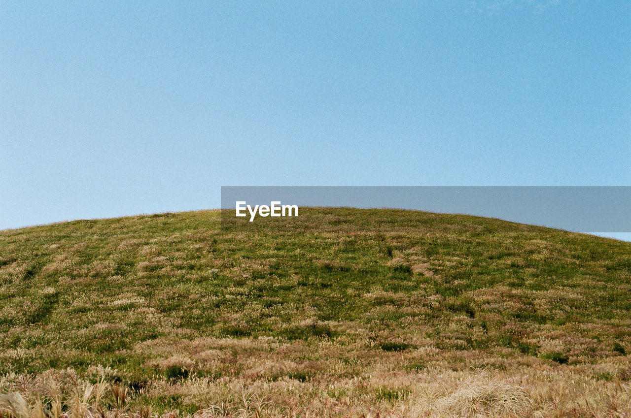 Scenic view of grassy field against clear sky