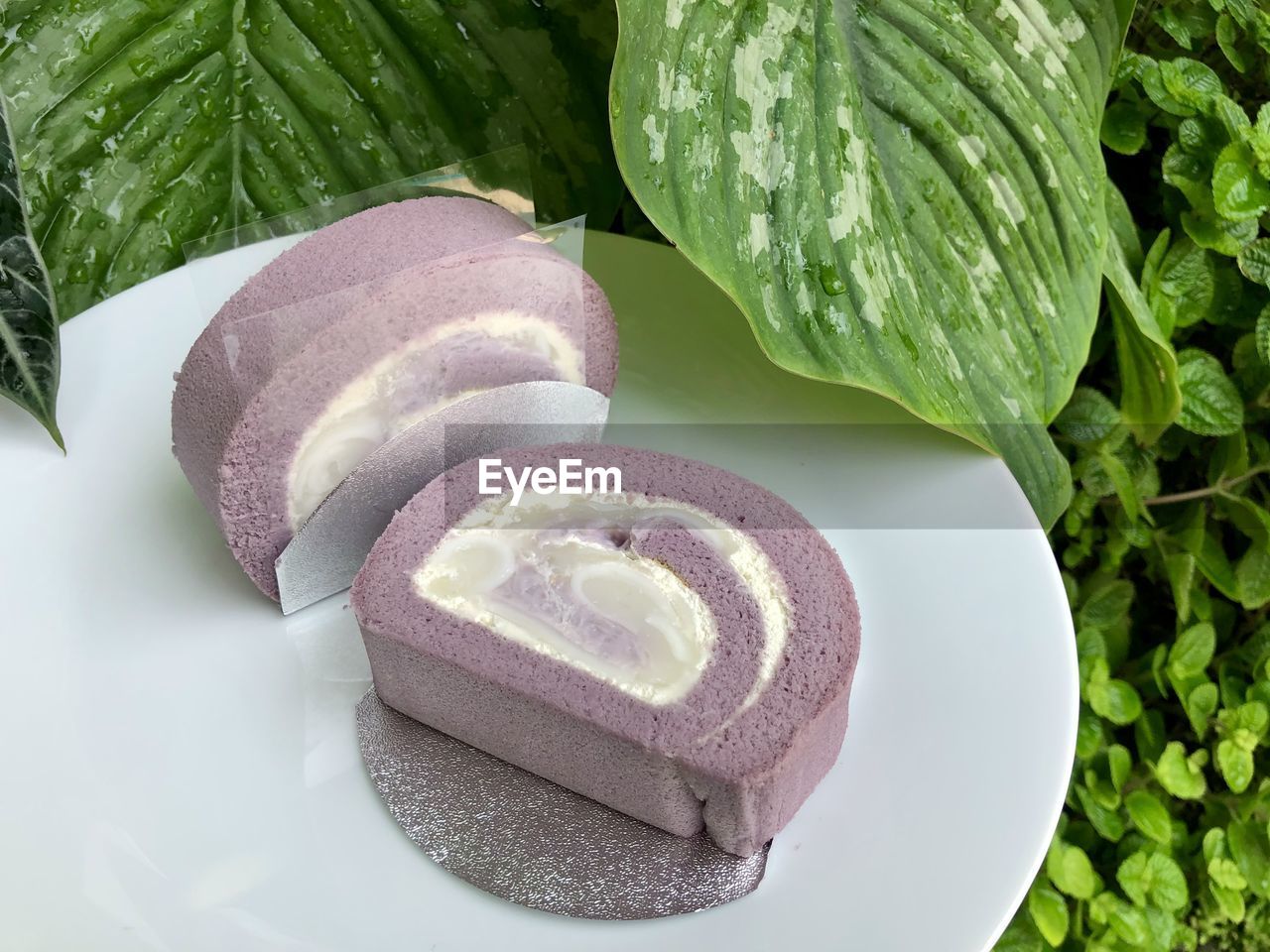 Purple taro roll cake with young coconut and cream on plate with natural gardening green leaves.