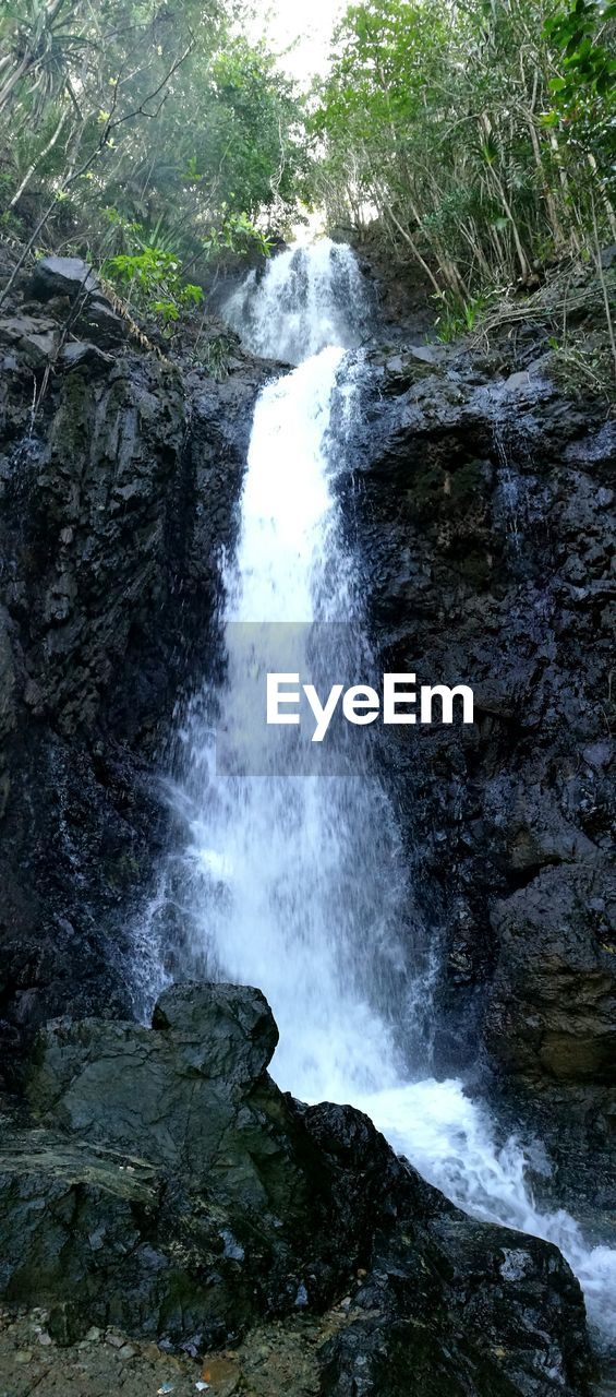 LOW ANGLE VIEW OF WATERFALL ON TREES