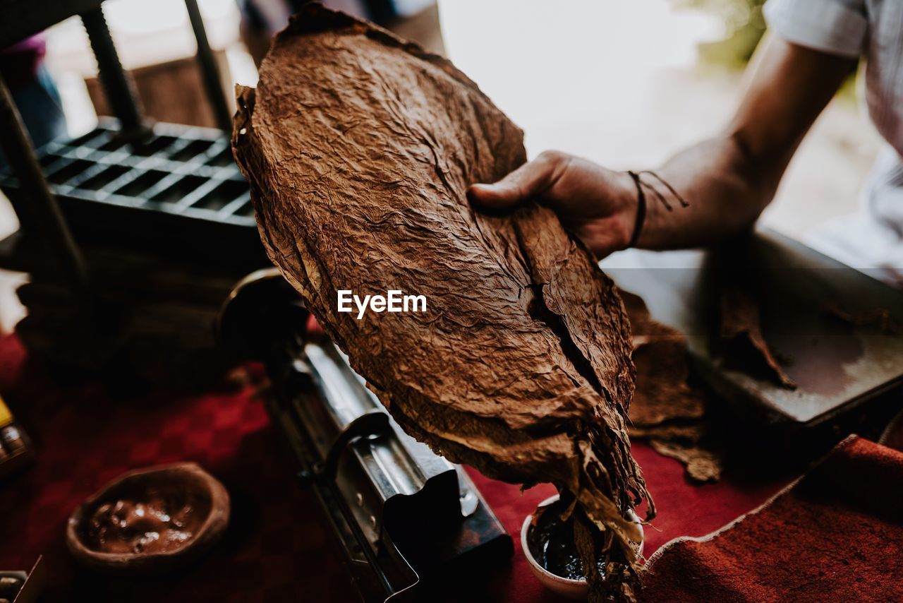 Cropped hand of craftsperson holding dry tobacco leaves at workshop