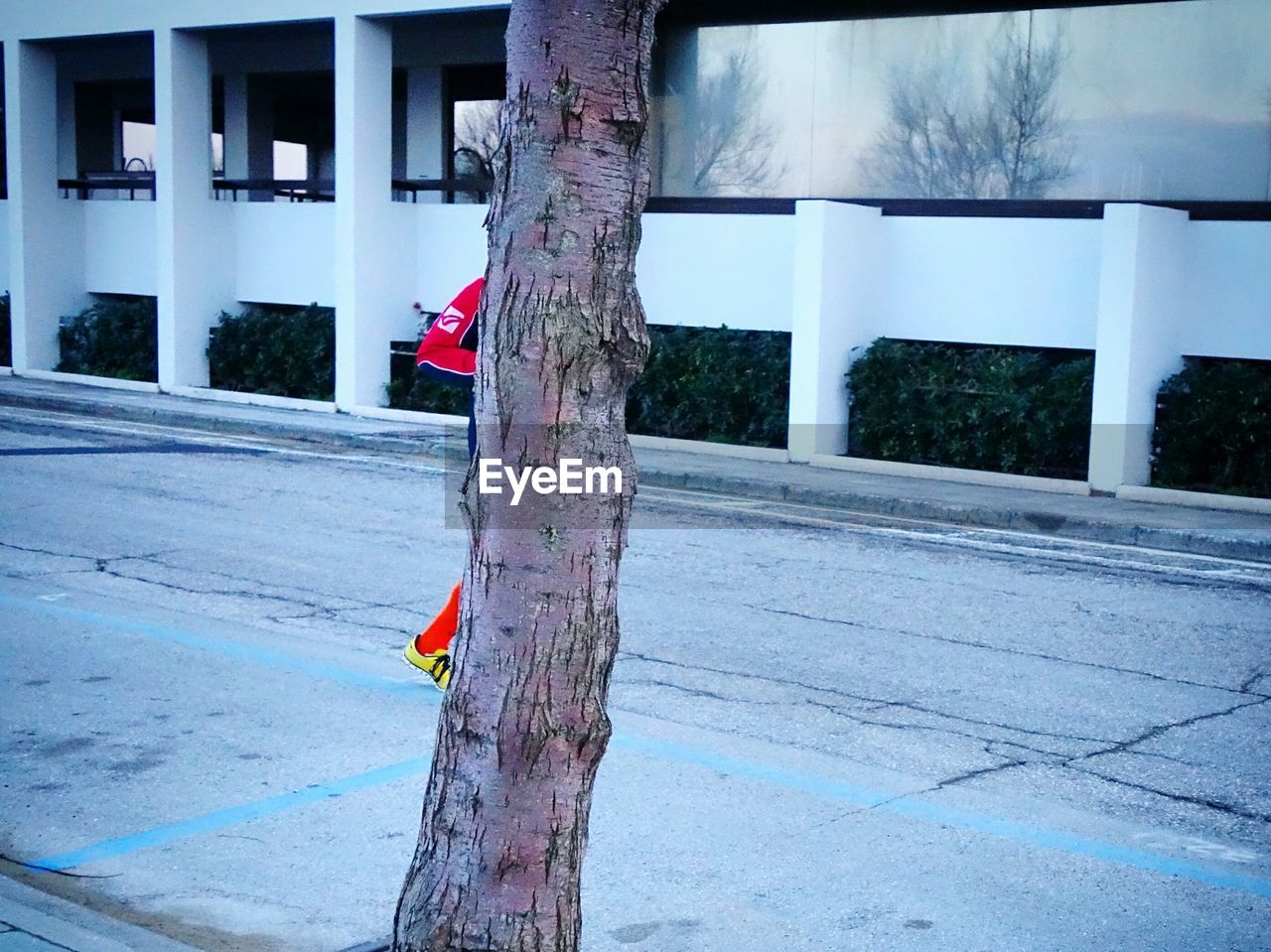 Tree against man running on road