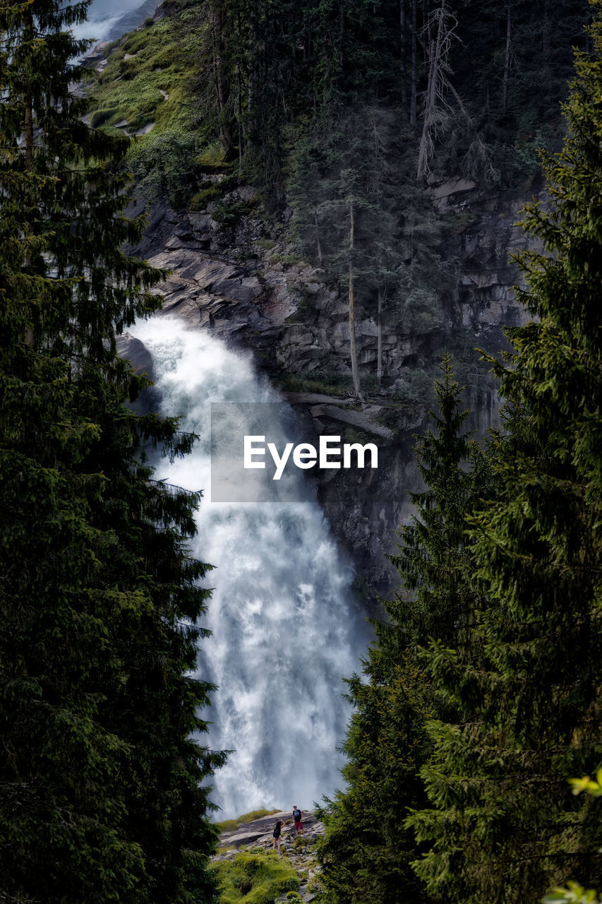 Scenic view of waterfall amidst trees in forest