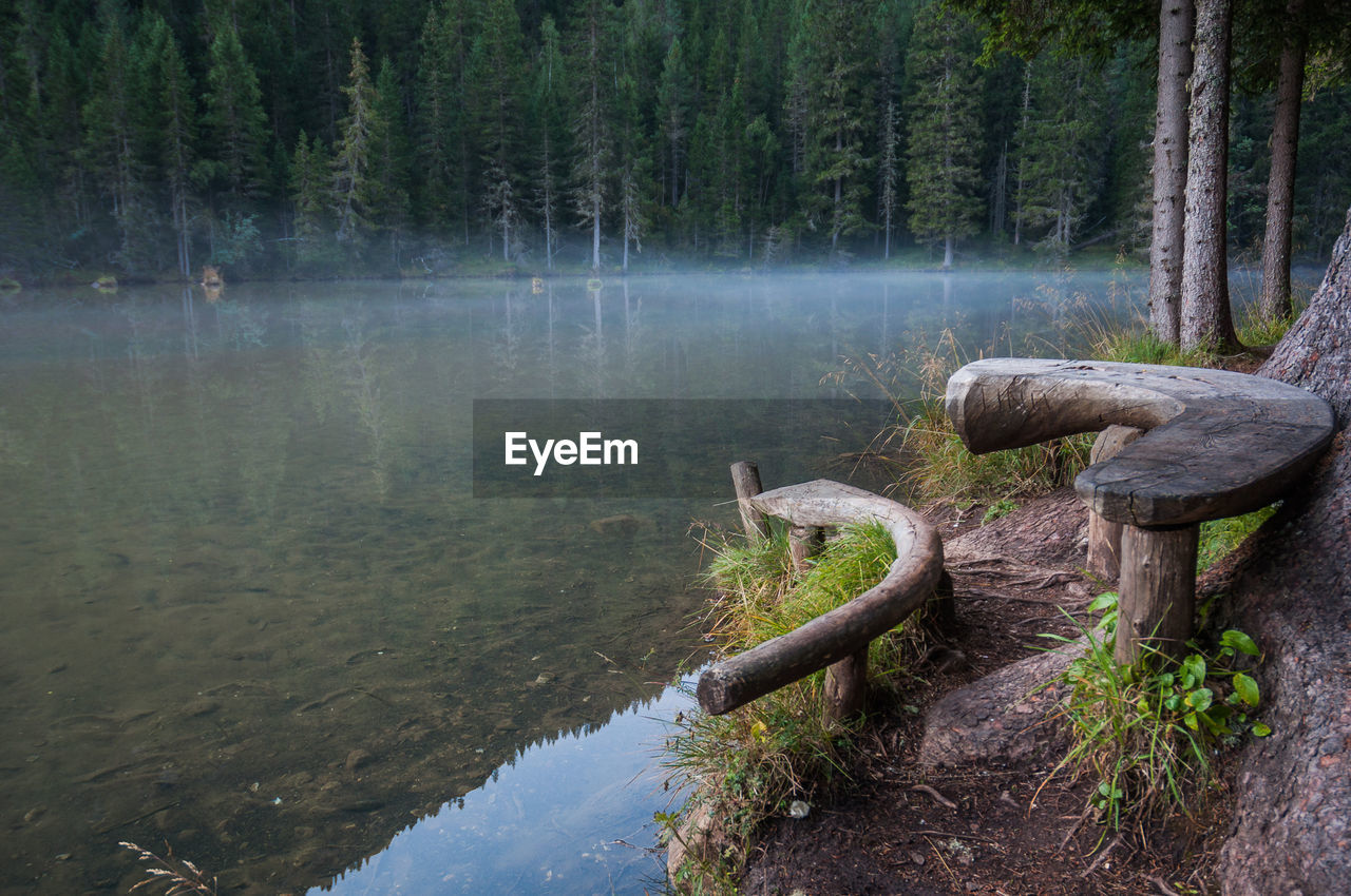 Scenic view of lake in forest