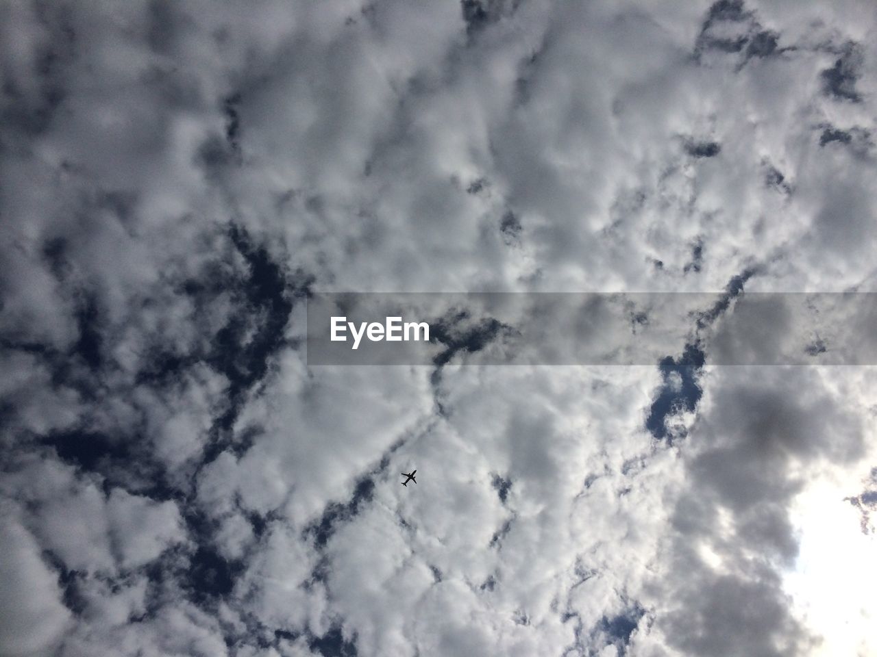 LOW ANGLE VIEW OF TREES AGAINST CLOUDY SKY