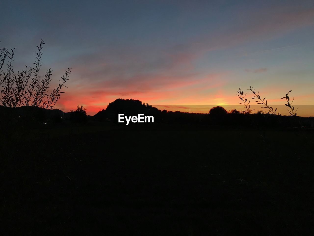 SILHOUETTE PLANTS ON FIELD AGAINST SKY DURING SUNSET