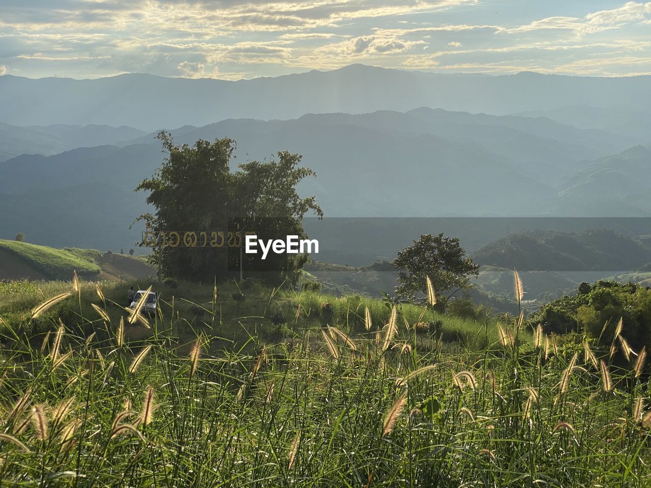 SCENIC VIEW OF FIELD AGAINST MOUNTAIN RANGE