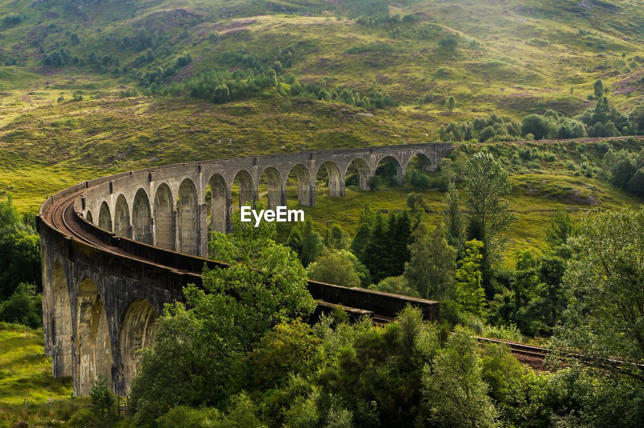 Scenic view of agricultural field with bridge