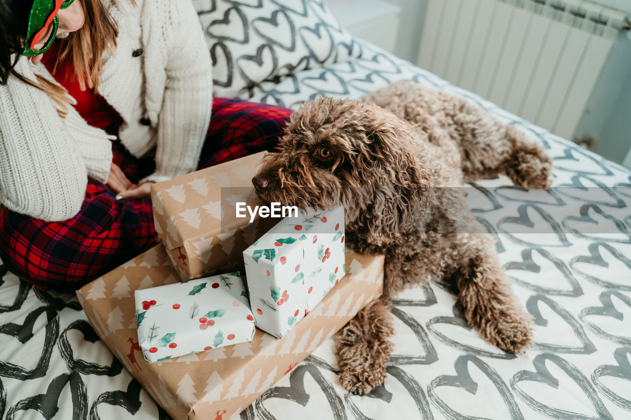 Young woman relaxing with dog on bed at home