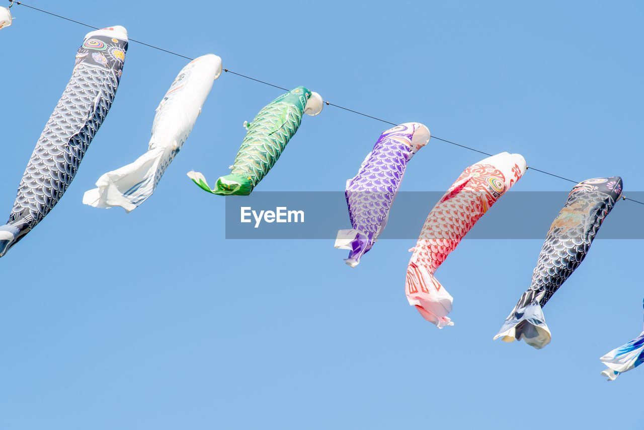 LOW ANGLE VIEW OF FISH HANGING AGAINST CLEAR SKY