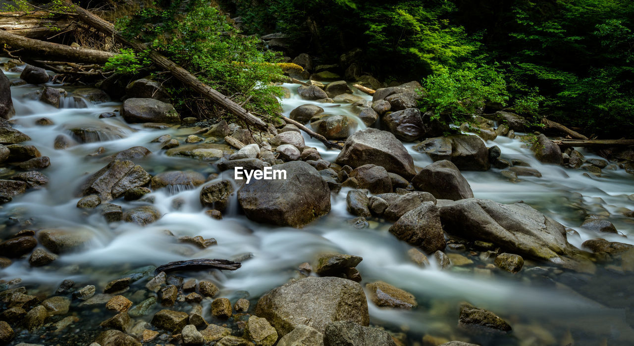 SCENIC VIEW OF RIVER FLOWING IN FOREST