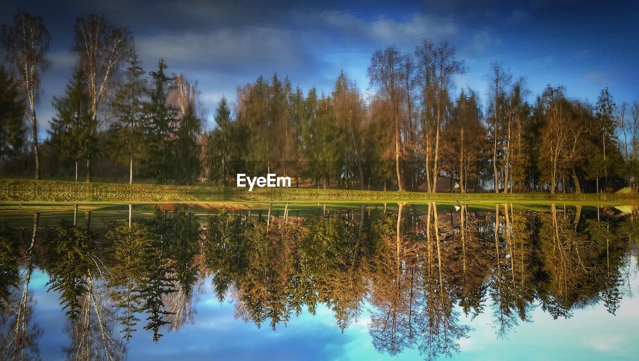 REFLECTION OF TREES ON LAKE AGAINST SKY