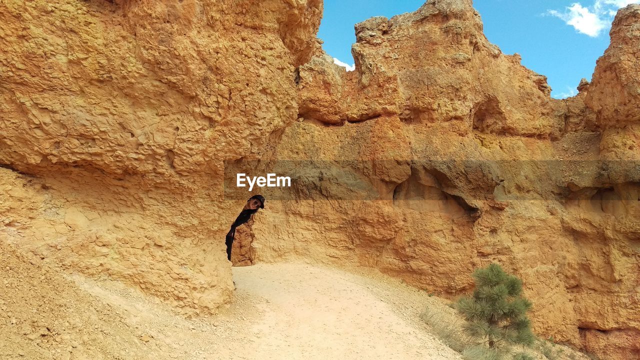 LOW ANGLE VIEW OF BIRD PERCHING ON ROCK FORMATION