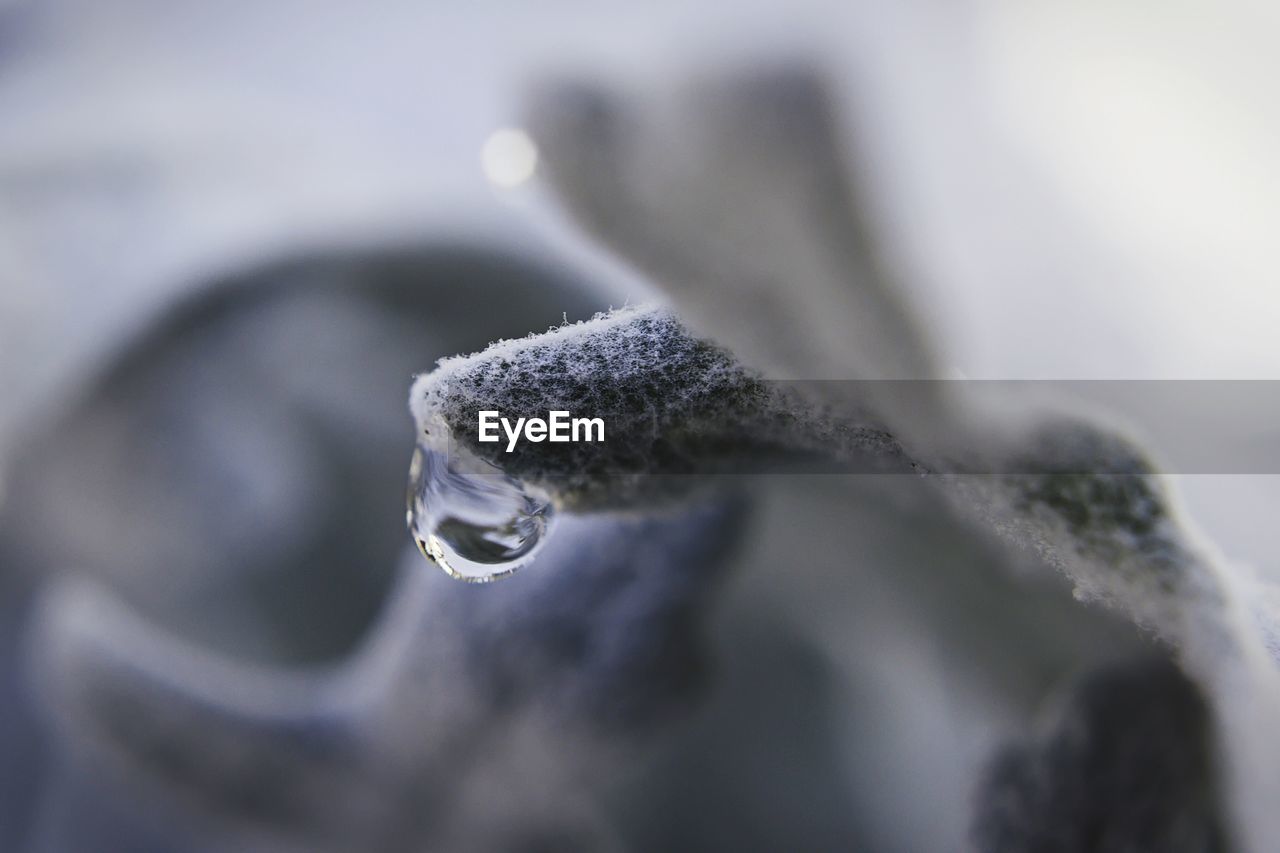 CLOSE-UP OF FROST ON WATER