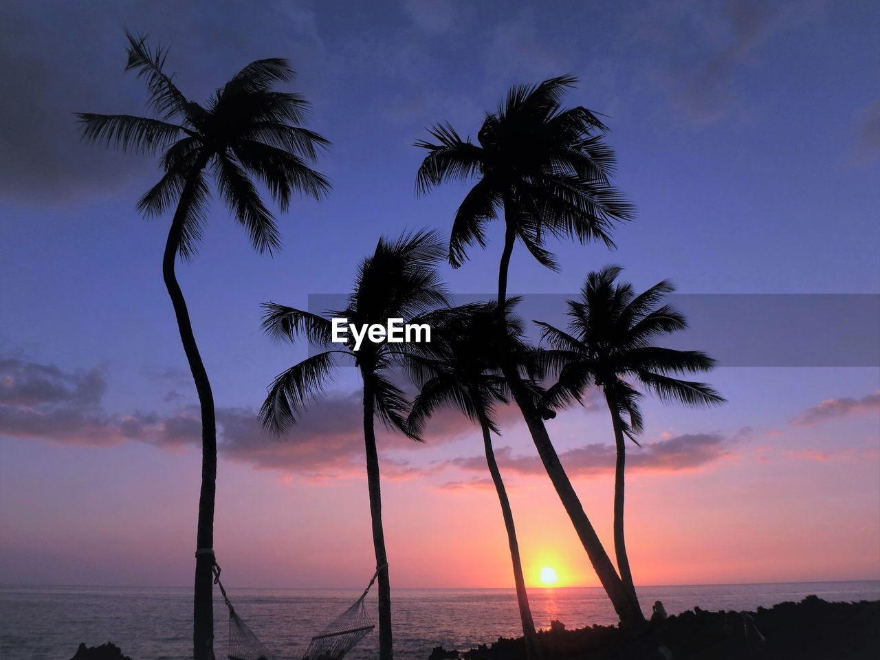 Silhouette palm trees on beach against sky during sunset