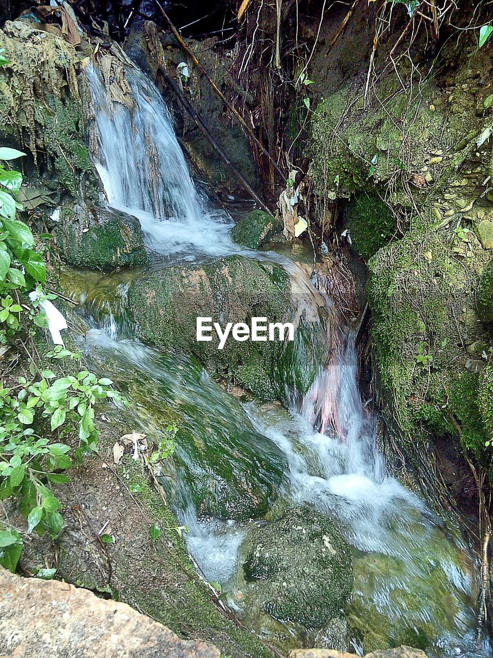 WATERFALL IN FOREST