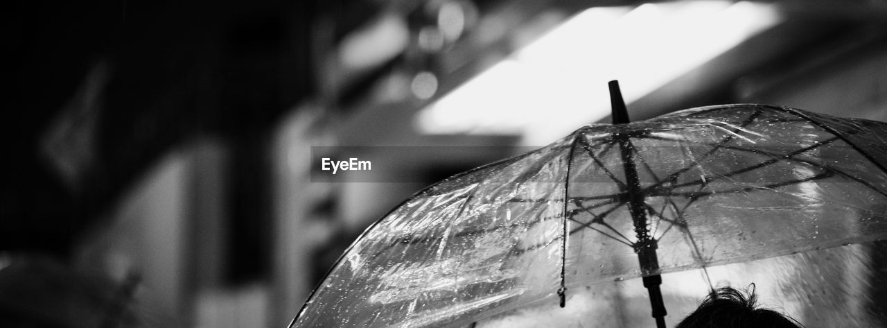 CLOSE-UP OF BUTTERFLY