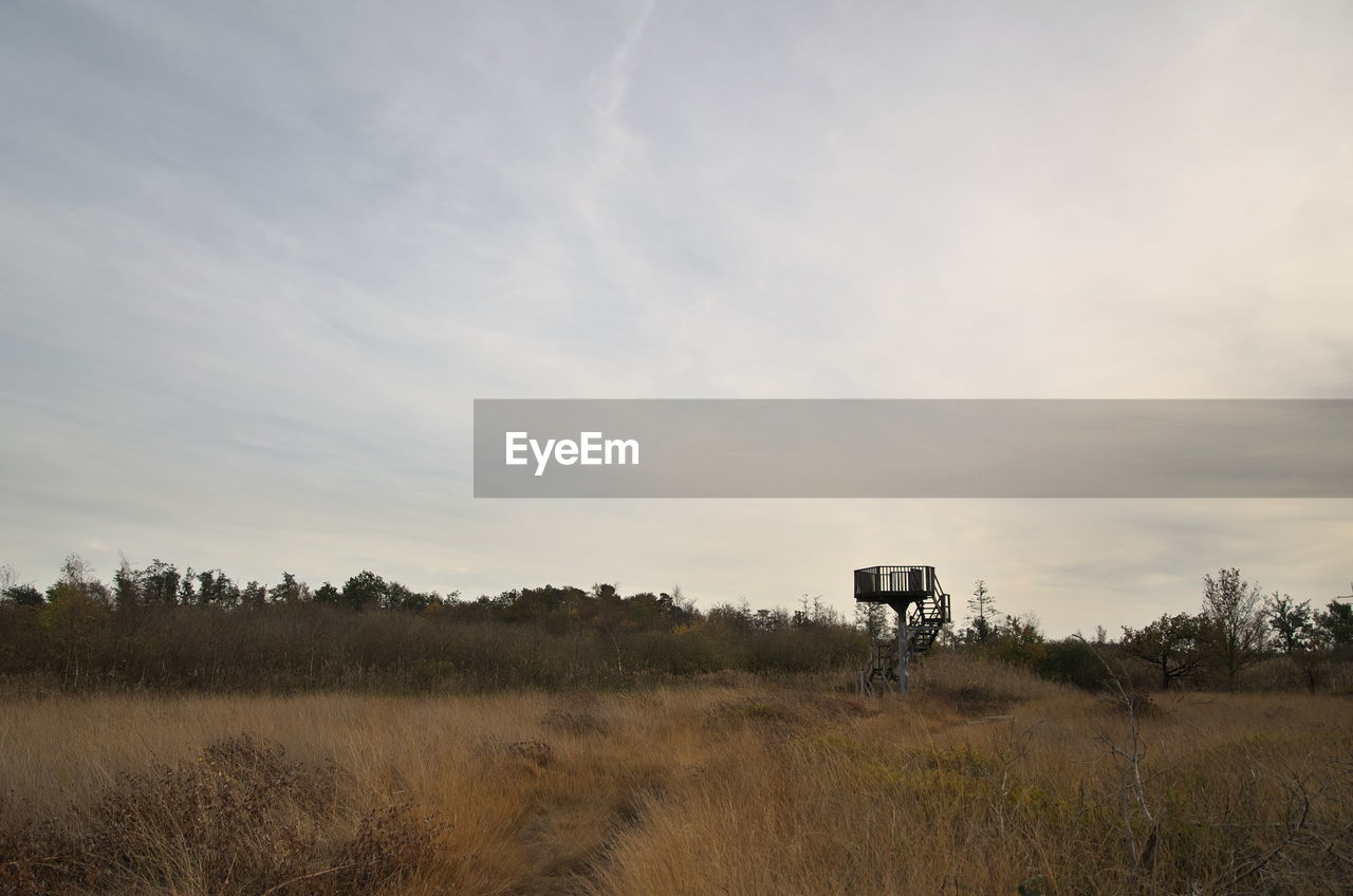 sky, prairie, natural environment, plant, nature, horizon, rural area, landscape, environment, cloud, grass, morning, savanna, wilderness, tree, plain, hill, land, no people, beauty in nature, scenics - nature, field, grassland, tranquility, non-urban scene, steppe, animal wildlife, outdoors, tranquil scene, animal, mammal, animal themes, day, dawn