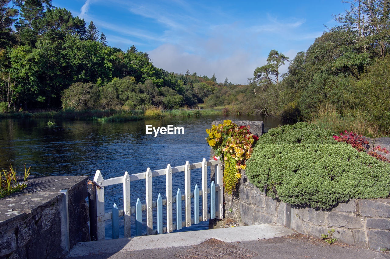 SCENIC VIEW OF LAKE AGAINST TREES