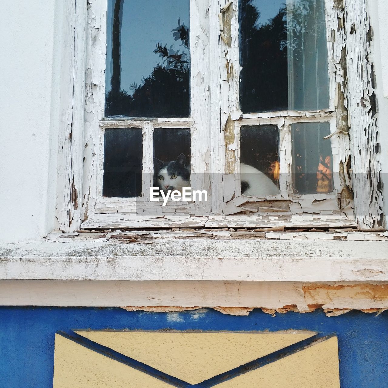 VIEW OF WINDOW