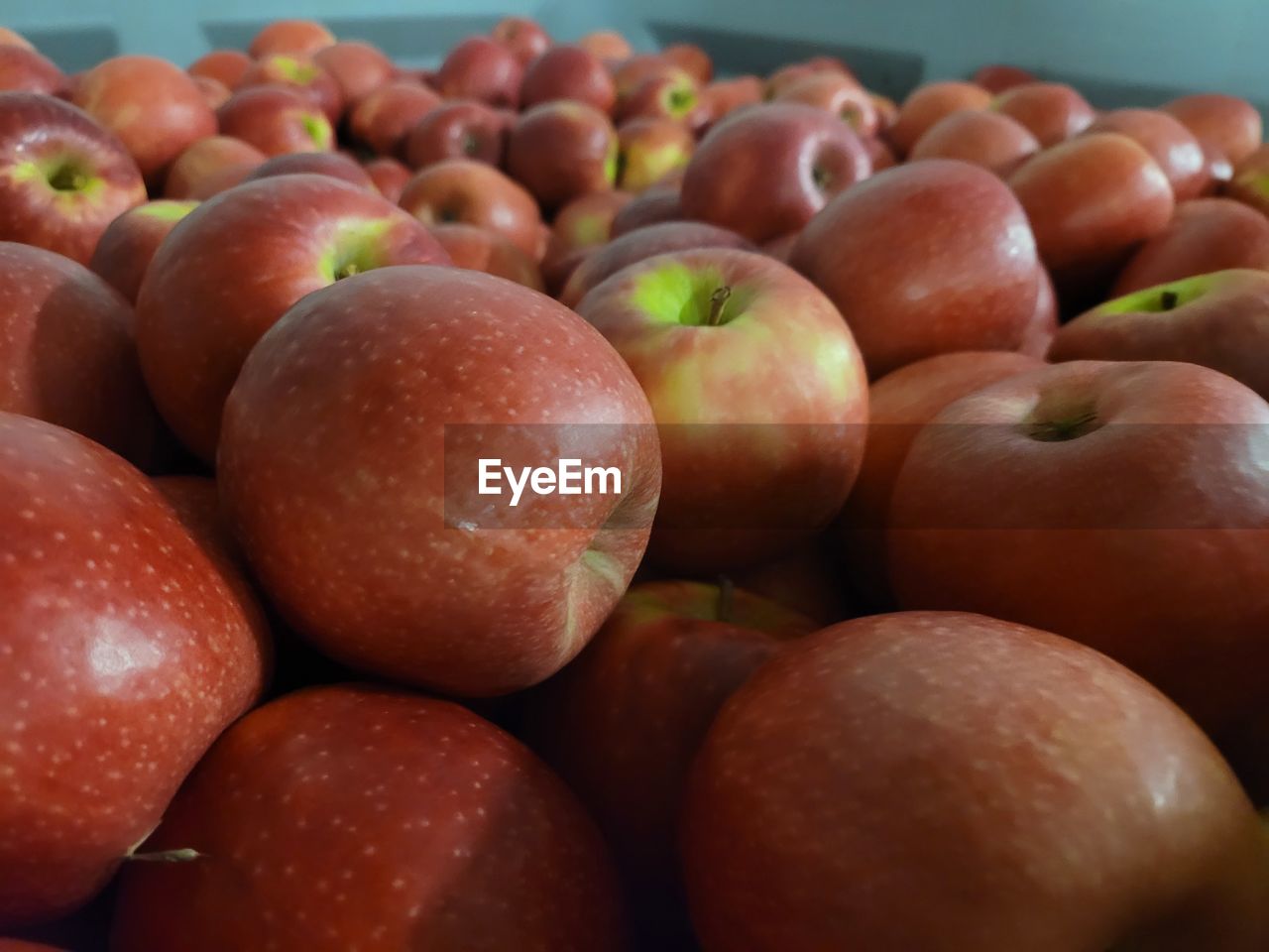 food, food and drink, healthy eating, fruit, freshness, produce, wellbeing, plant, no people, close-up, large group of objects, still life, abundance, group of objects, indoors