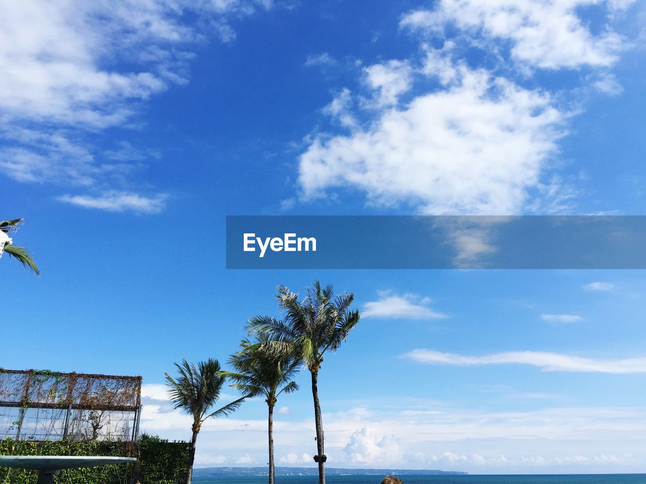 Low angle view of palm trees against cloudy blue sky