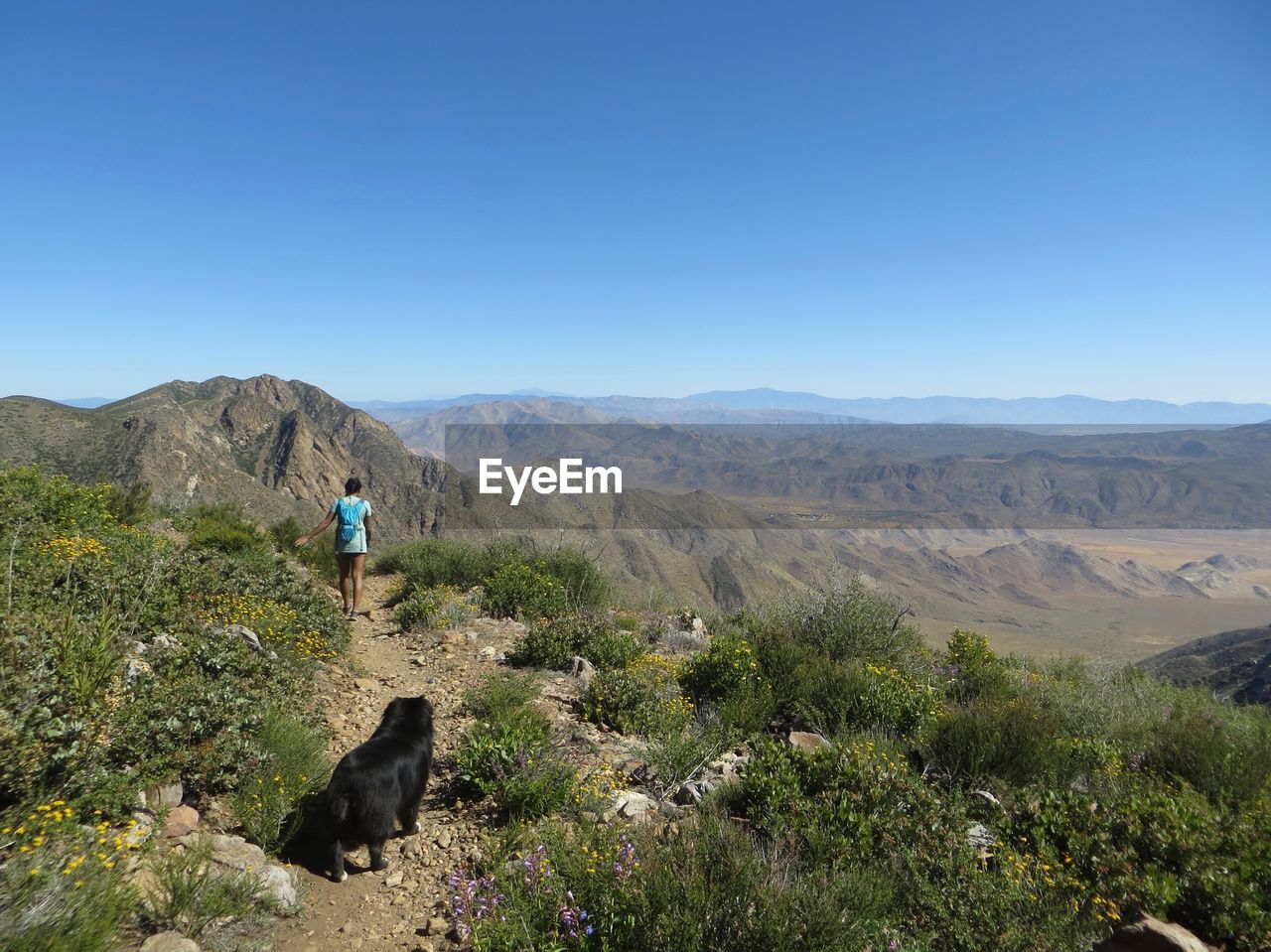 Rear view of woman walking on mountain against clear blue sky