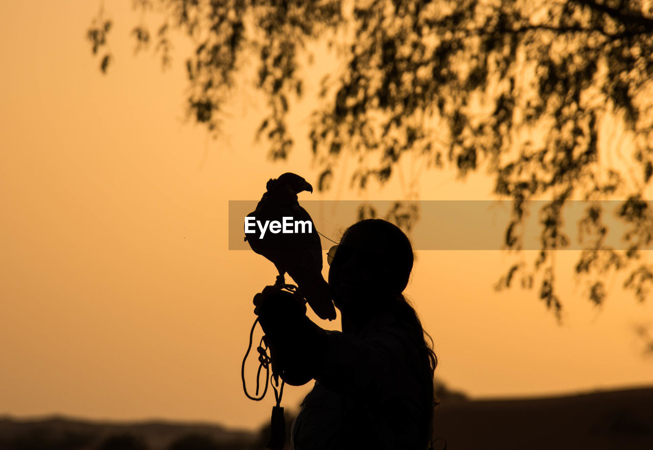 Silhouette falcon perching on woman hand against orange sky