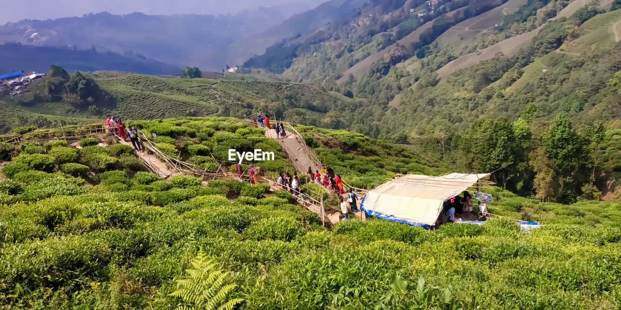 Scenic view of landscape and mountains