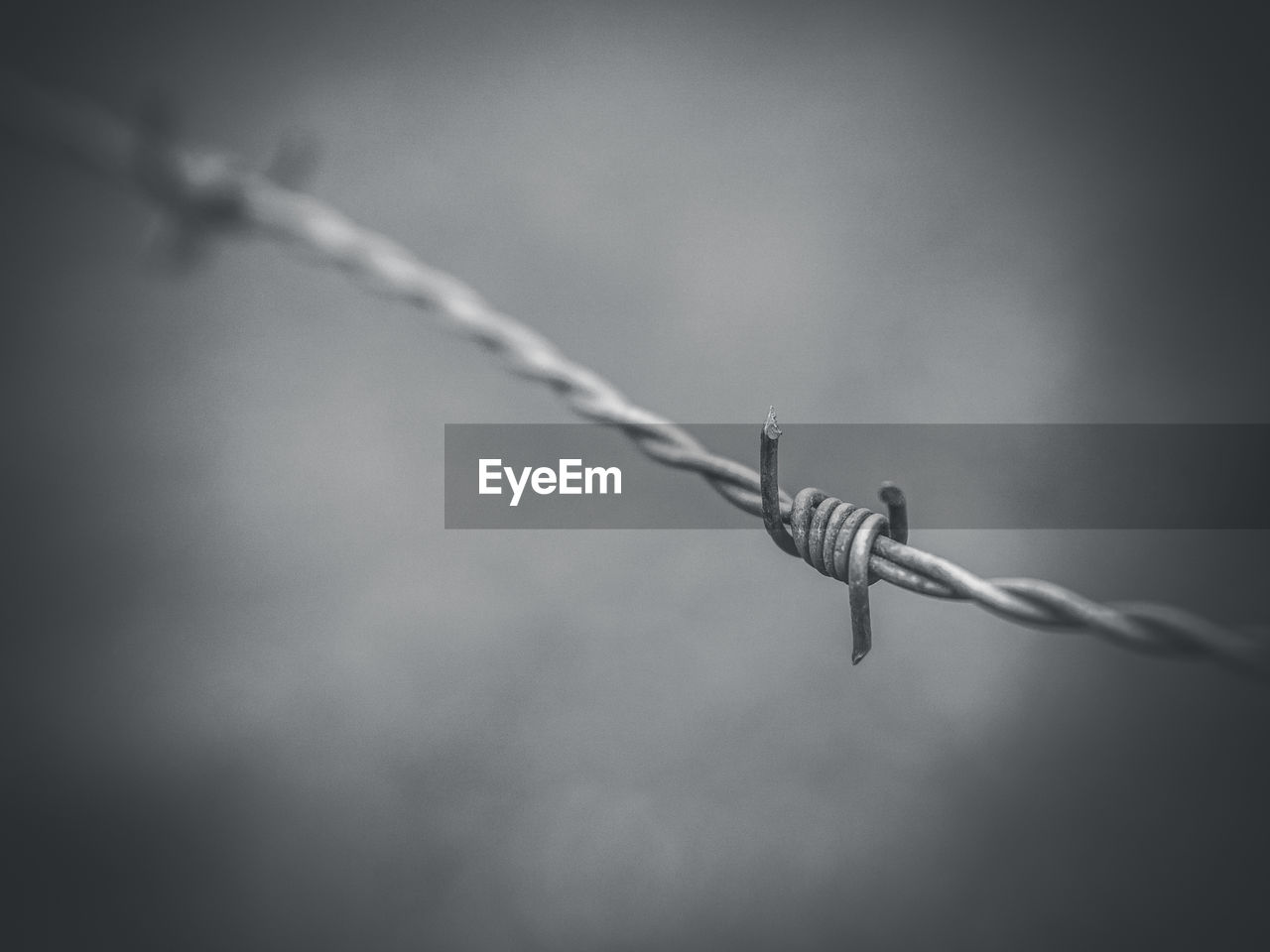 Close-up of barbed wire