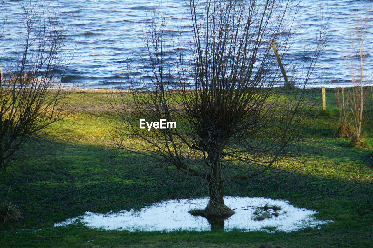 SCENIC VIEW OF STREAM DURING WINTER SEASON