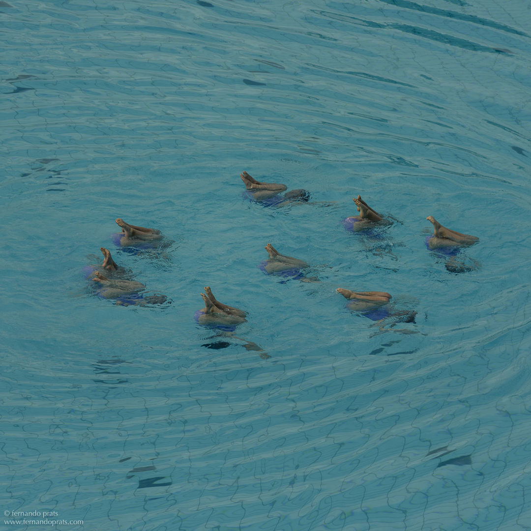 VIEW OF BIRDS IN WATER