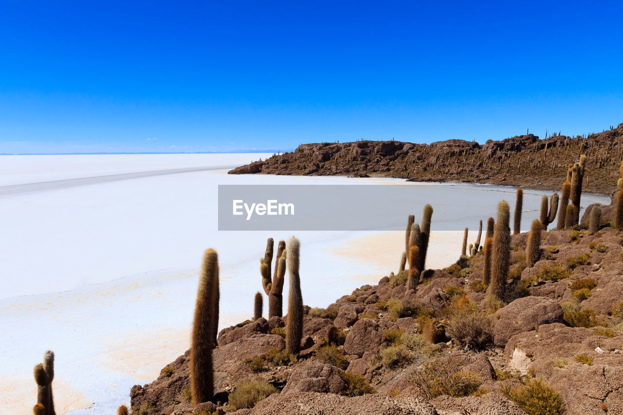 SCENIC VIEW OF BEACH AGAINST CLEAR SKY