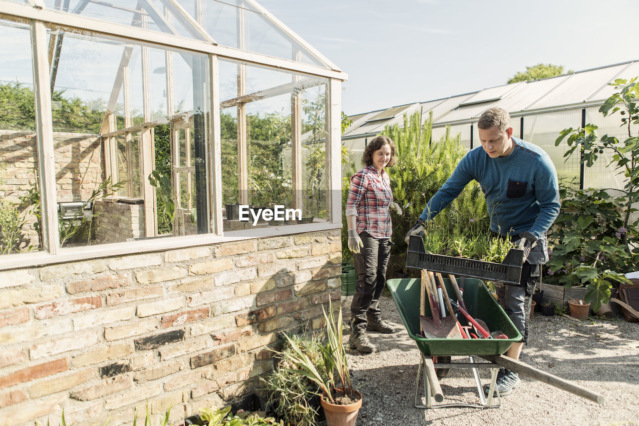 Man loading plant crate in wheelbarrow while gardening with woman