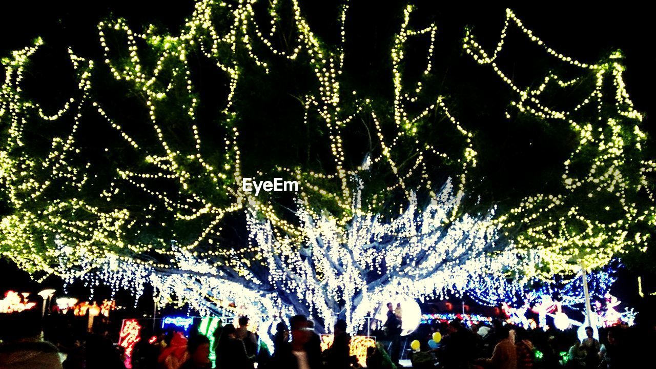 ILLUMINATED FIREWORK DISPLAY AT NIGHT