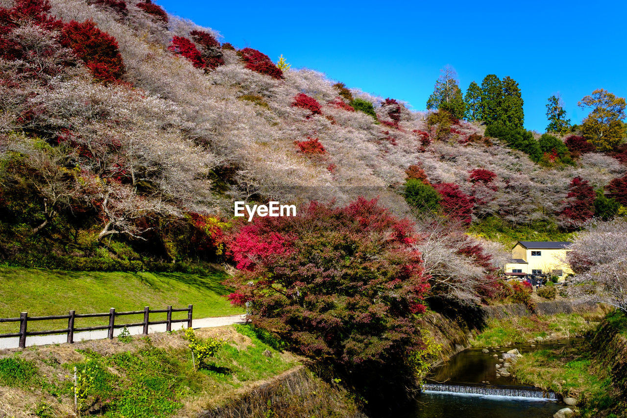 high angle view of trees and buildings against sky