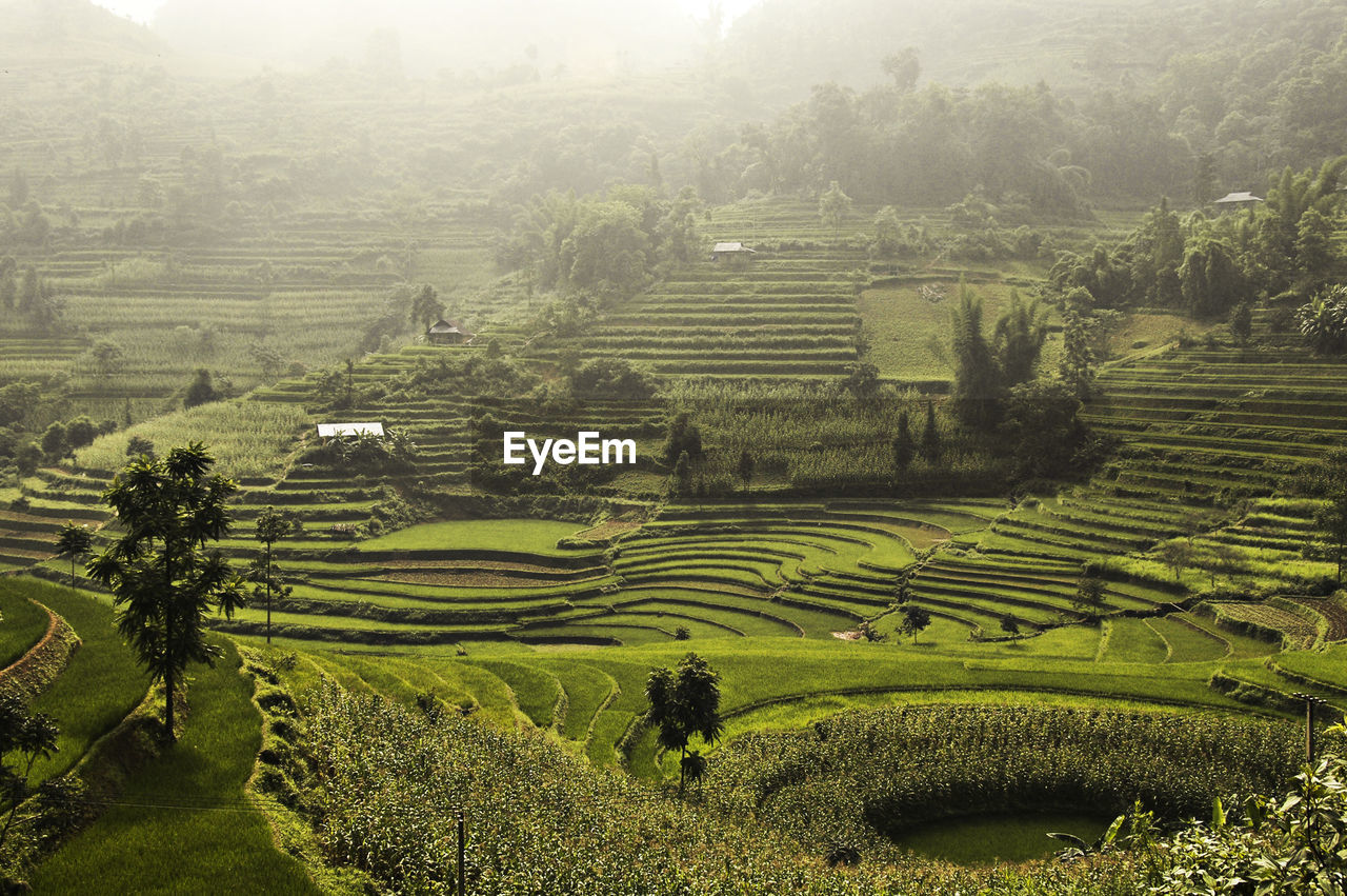 Scenic view of rural landscape