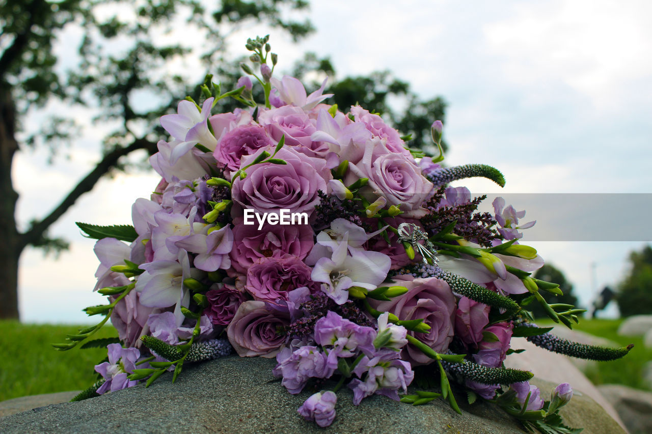 CLOSE-UP OF PINK ROSES BOUQUET