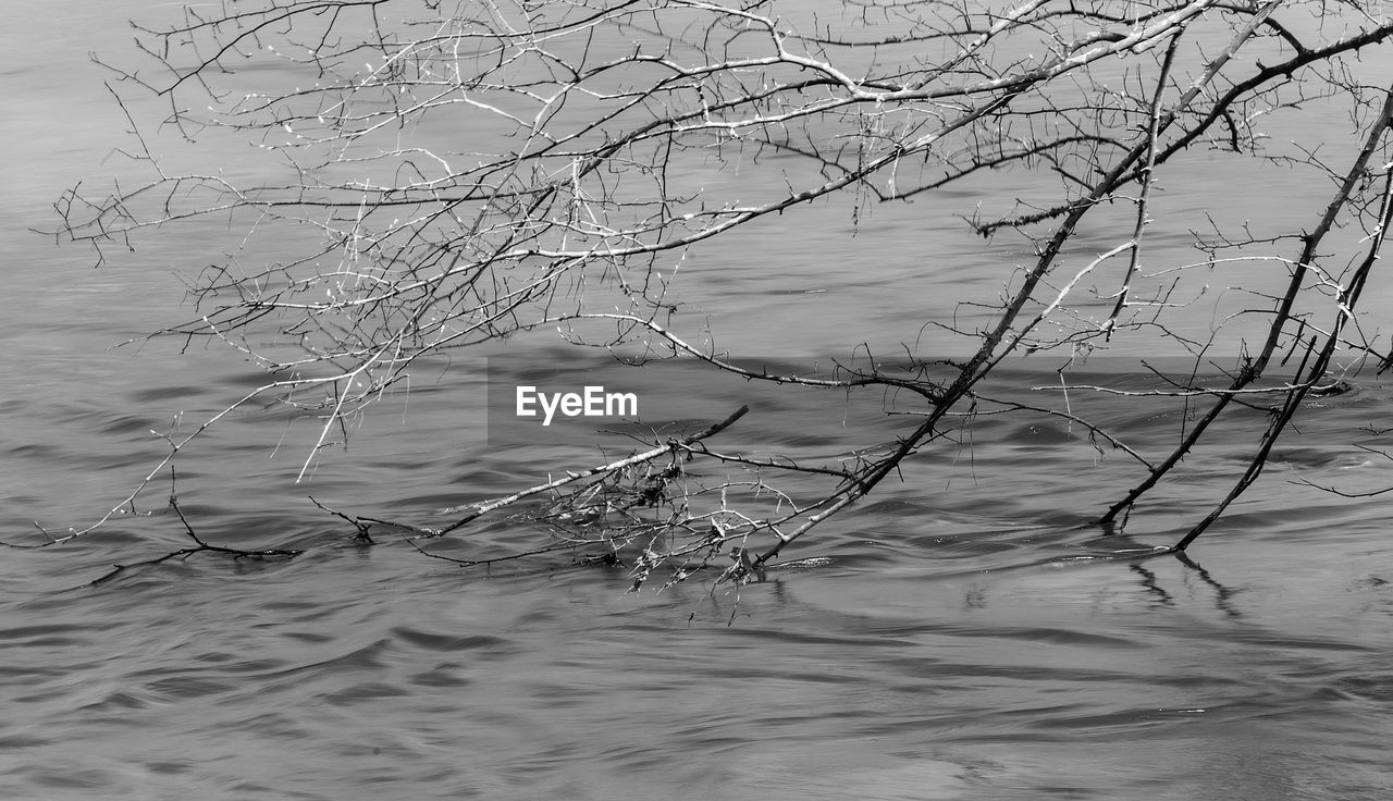 SCENIC VIEW OF LAKE AGAINST BARE TREE