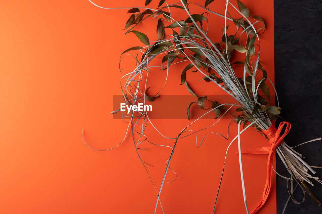 Composition of dry twigs and leaves on orange background with copy space