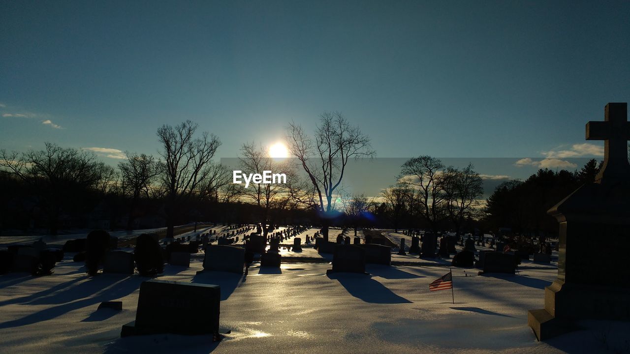 VIEW OF TREES AT SUNSET