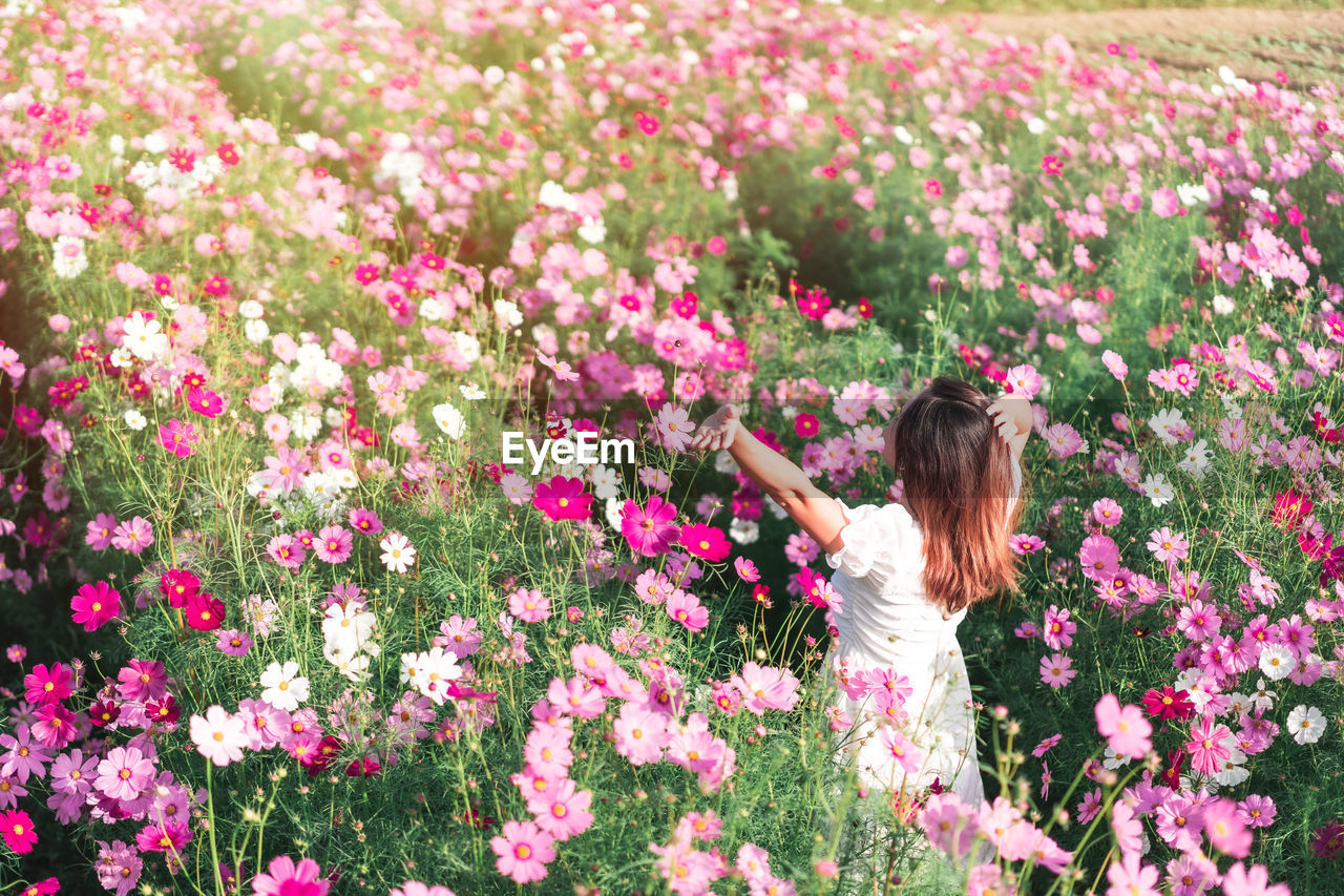 Woman standing by pink flowering plants on field