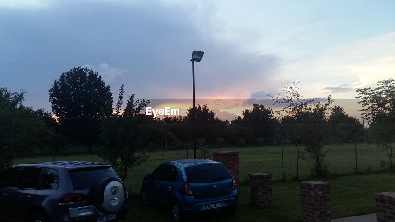 VIEW OF TREES AT SUNSET