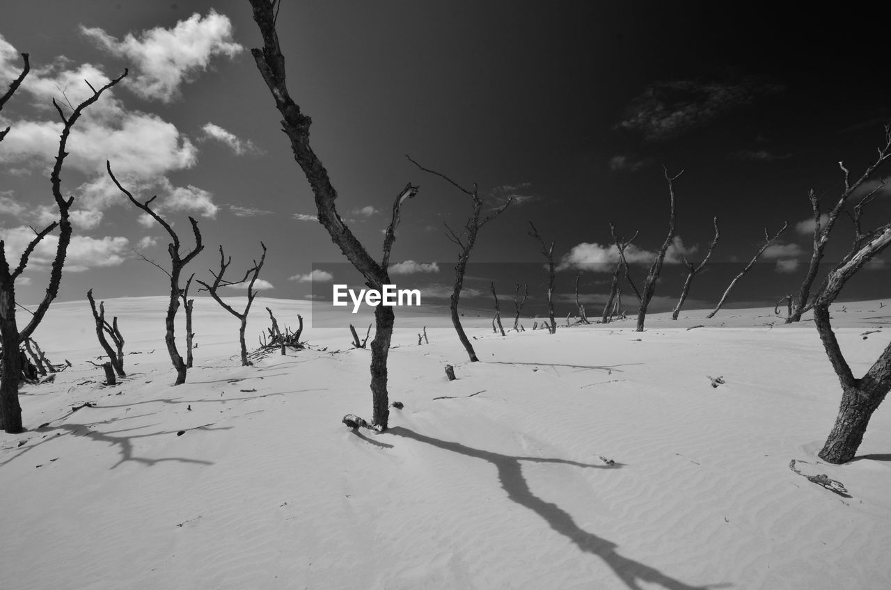 Scenic view of snow covered land against sky